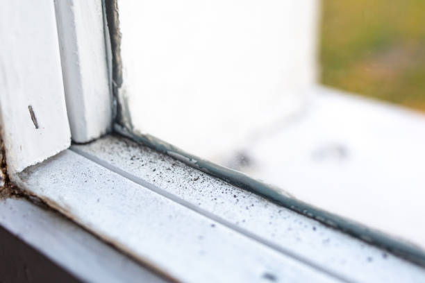 Best Air Quality Testing for Mold Spores  in Roosevelt Gardens, FL