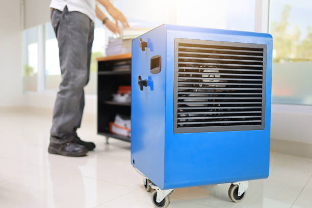 Roosevelt Gardens, FL Mold Removal Company