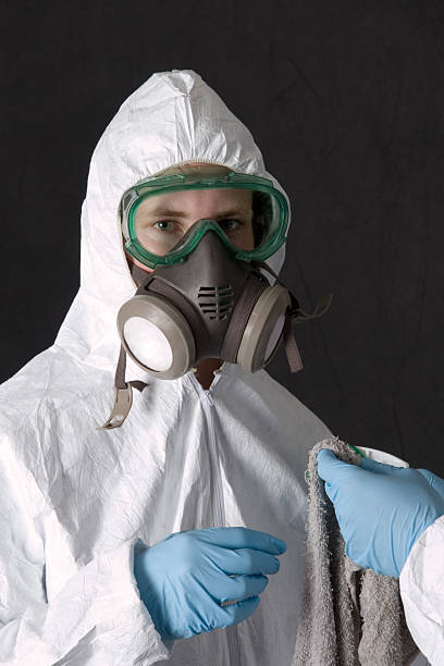 Best Basement Mold Removal  in Roosevelt Gardens, FL